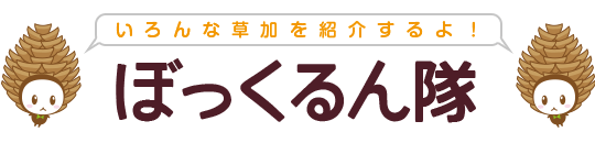 いろんな草加を紹介するよ！ぼっくるん隊