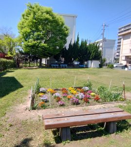 IMG_20260408_103713148_HDR