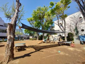 IMG_20260408_110055335_HDR