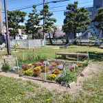 IMG_20260408_103529064_HDR